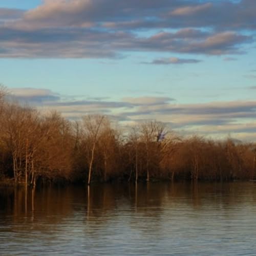 ||मन से मन तक|| cover art