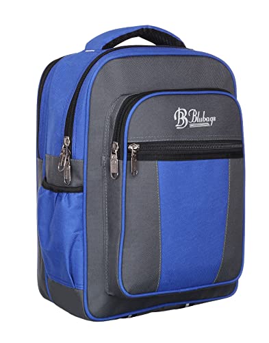 Image of 38cm (Primary LKG /UKG /1st Standard) School Bag for Boys and Girls 20 L