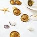 Nuvretk 30pcs Handmade Wax Seal Stickers - 3D Shell Design Self-Adhesive Seals for Invitations, Envelopes, and Packaging(Gold)