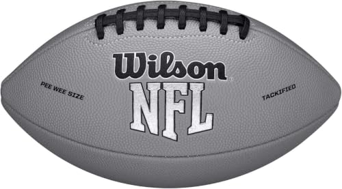 Image of WILSON NFL Recreational Footballs
