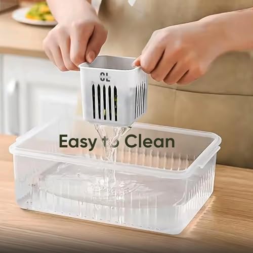 Image of 6 Grid Fridge Storage Box with Lid | 250 ML Each Compartment | Plastic Freezer Safe Vegetable & Food Storage Container | Refrigerator Organizer Tray for Veggies, Snacks & Leftovers