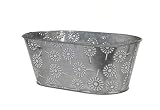 RiloStore 3 STK Pflanzschale Metall Jardiniere Blumen grau Weiss o395 Zinkschale Sommerdeko 20x12x9cm oval Metallschale Pflanzschalen Zink Schalen Blumentöpfe