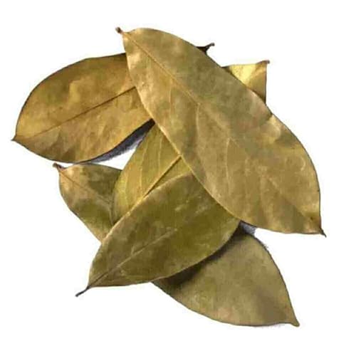 Miniatura 6 de Yerbero - Hojas de guanábana secas orgánicas enteras (8 onzas - más de 660 hojas por bolsa) Hoja de Guanabana Seca, hecha por la naturaleza, 100%