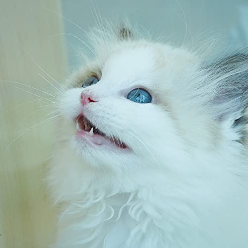 Lente macro PERGEAR 60mm F2.8 II para cámaras Sony E-Mount - Fernando Cortés Lente macro PERGEAR 60mm F2.8 II para cámaras Sony E-Mount - Fernando Cortés