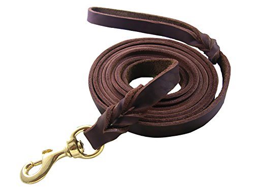 Vivi Bear 0.7inch Wide Durable Handmade Braided Genuine Leather Big Dog's Rope Canine K9 Dog Training Leash for Large Dogs with Copper Snaps (4ft Long).