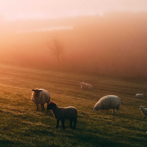 WELL PLEASED// Peter S. Favuzzi Ft. Joe C.