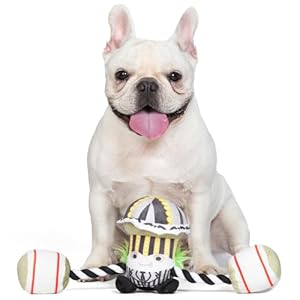 Beetlejuice-Tennis-Ball-Set-for-Dogs-4pk-Fun-Fetch-Toys-for-Dogs-Pack-of-Balls-Dog-Balls-Gifts-for-Fans-of-BEETLEJUICE-and-Halloween - Cucciolini Doodles   Beetlejuice-Tennis-Ball-Set-for-Dogs-4pk-Fun-Fetch-Toys-for-Dogs-Pack-of-Balls-Dog-Balls-Gifts-for-Fans-of-BEETLEJUICE-and-Halloween