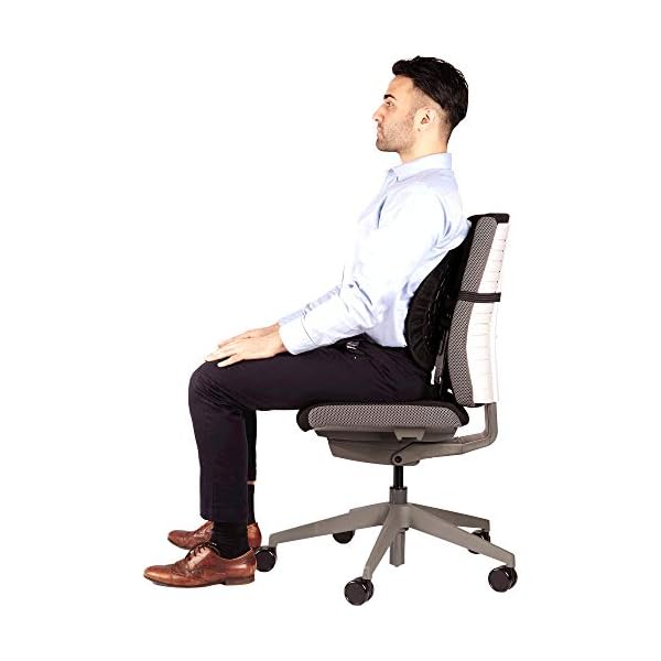 Fellowes Back Support Cushion, Black - Image 4
