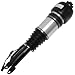 RMT M211-R310-RWFL Rebuilt Suspension Air Strut; Front Left