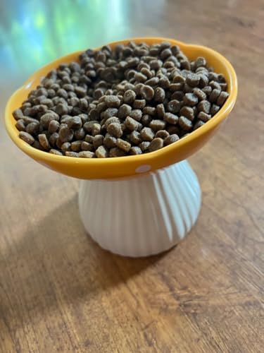 Gamelle surélevée pour chat céramique jaune écuelle ergonomique nourriture eau large