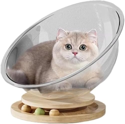 FJvZ^LxbhiL\t@j I[V[YKp ȒP|Ehh \EgȒP ˊOp LƋp (32cm)