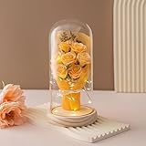 Erhaltene Blumen Blumenstrauß für sie für immer Kunststoff Blume Muttertag Mutter Frauen Frau Freundin Beste Freundin Rote ewige Rose Art Decor