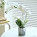 Wenhuidr White Fake Orchids Flowers in Pot Bendable Faux Orchids Artificial Flowers Washable Silk Orchid Phalaenopsis Decor for Home Wedding Table Centerpiece Bathroom Office