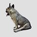 Bernsteinhalsband für Hunde und Katzen - 100% natürliche baltische Bernsteinperlen - 20cm
