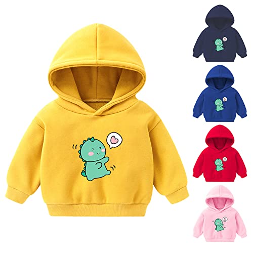 Toddler Boys Girls Winter Long Sleeve Hoodie Sweatshirt Outwear For Kids Clothes Love Dinosaur Youth Hoodie3
