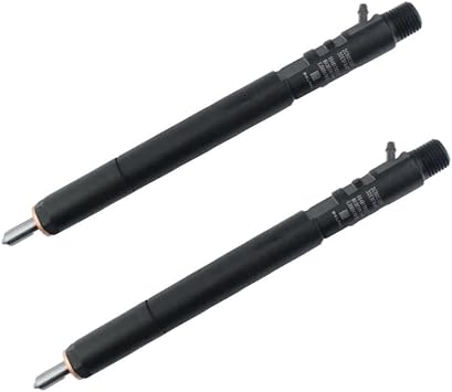 2PCS ZACHAGER CRDI Fuel Injector for Ssangyong Actyon Kyron Rexton, Common Rail Fuel Injector Replacement Parts A6640170221 EJBR04701D