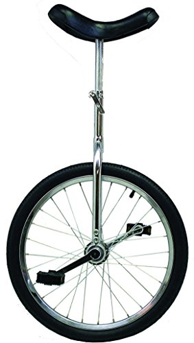 Find Bargain Action 20X1.75 Chrome Unicycle