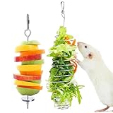 Jevnd 2Pcs Rat Enrichment Toys, 304 Stainless Steel Rat Foraging Toy for Fruit Vegetable Holder, Fancy Mice Cage Accessories Puzzle Toy, Hanging Rodent Toys Slow Feeder, Bird Foraging for Parakeet