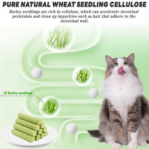 FePen Katzengras Sticks, 12 stück Beißstäbe Aus Katzengras für Hauskatzen, Katzengras Beissstäbchen, Katzengras-kaustangen, zur Verbesserung der Katzenverdauung