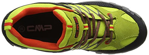 CMP - F.lli Campagnolo 3Q54456_Apple E471