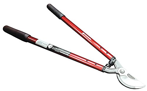 Corona Tools | 26-inch Branch Cutter MAXFORGED Orchard Loppers | Tree Trimmer Cuts Branches up to 2 ¼-inches in Diameter | AL 8442 Red