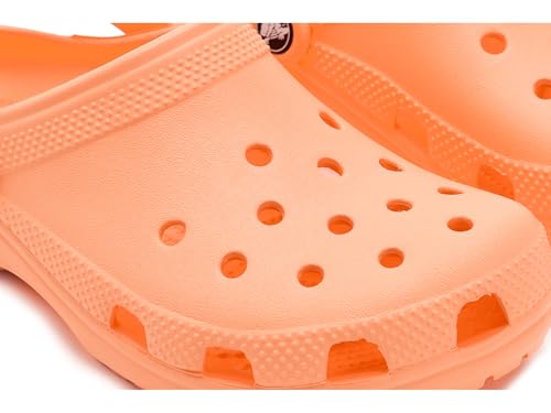 Image of Crocs Kid's Classic Clog (Little Kid /Big Kid /Toddler)