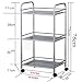 Rolling Kitchen Stainless Steel Trolley, Medical Equipment Utility Cart, Mobile Service Care Cars,with Handles, for Dining, Bathroom Closet, Storage with Removable Shelves