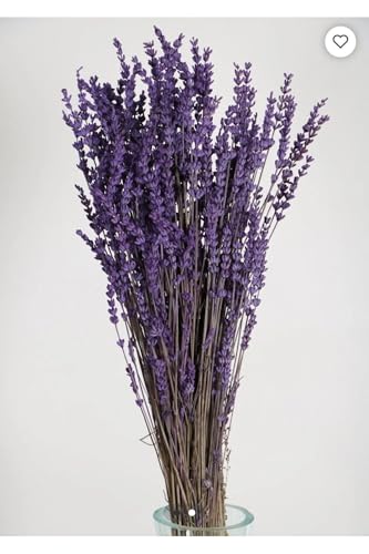 Ramo de Lavanda Preservada Morado para Decoración miniatura 2