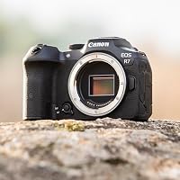 Canon EOS R7 Systemkamera, 32.5MP APS-C Sensor, Dual Pixel CMOS AF II – Ansicht 4