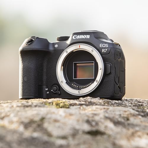 Canon EOS R7 (Boîtier) - Appareil Photo Hybride - Capteur APS-C 32,5 MP, Autofocus CMOS Dual Pixel II - Appareil Photo Numérique 4K 60p, Prise de Vue en Continu Jusqu’à 15 ips - Bluetooth, Wi-Fi, WLAN