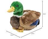 Teddys Rothenburg Plüschtier Ente 20 cm grün/schwarz/braun/blau Plüschente Kuscheltier