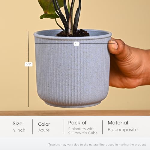 Image of Eha Earth Friendly Statement Pot 4 Inch Pots and Planters with Growmix |Set of 2| Table Top Planters for Gifting | Bamboo Based | Planter for Indoor & Balcony Window Flower Pots |Azure