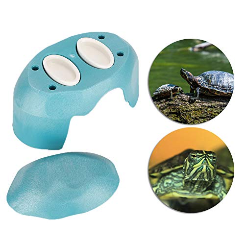 Rifugio per Nascondere Tartaruga, o Acute Angle