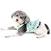 Ranphy Hawaiian Dog Dress Harnesses for Small Girl Dog Floral Pet Suspender Skirt Puppy Summer Beach Sundress Doggy Cats Outfit, Blue, M