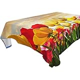 Fonction : cette nappe carrée et rectangulaire est adaptée pour une table à manger, une table basse pour une fête, un anniversaire, des vacances, un café, un banquet, un pique-nique, à l'intérieur et à l'extérieur et pour une utilisation quotidienne