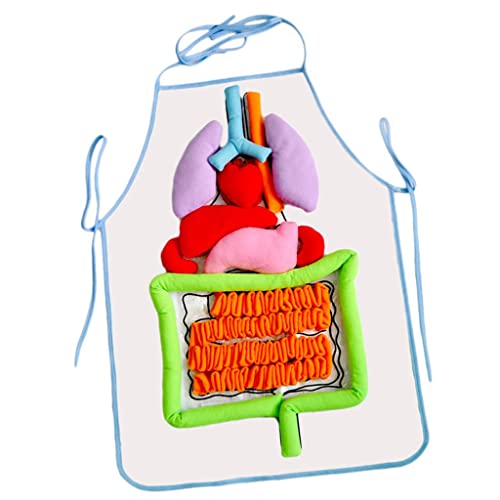 Représentation de l'anatomie tablier éducatif pour l'école