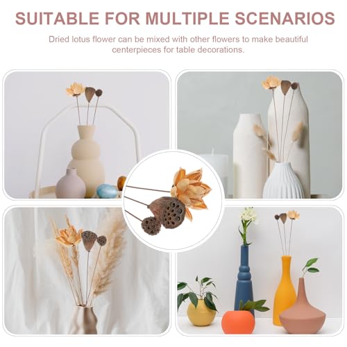 Ramo de loto seco decorativo natural preservado miniatura 3