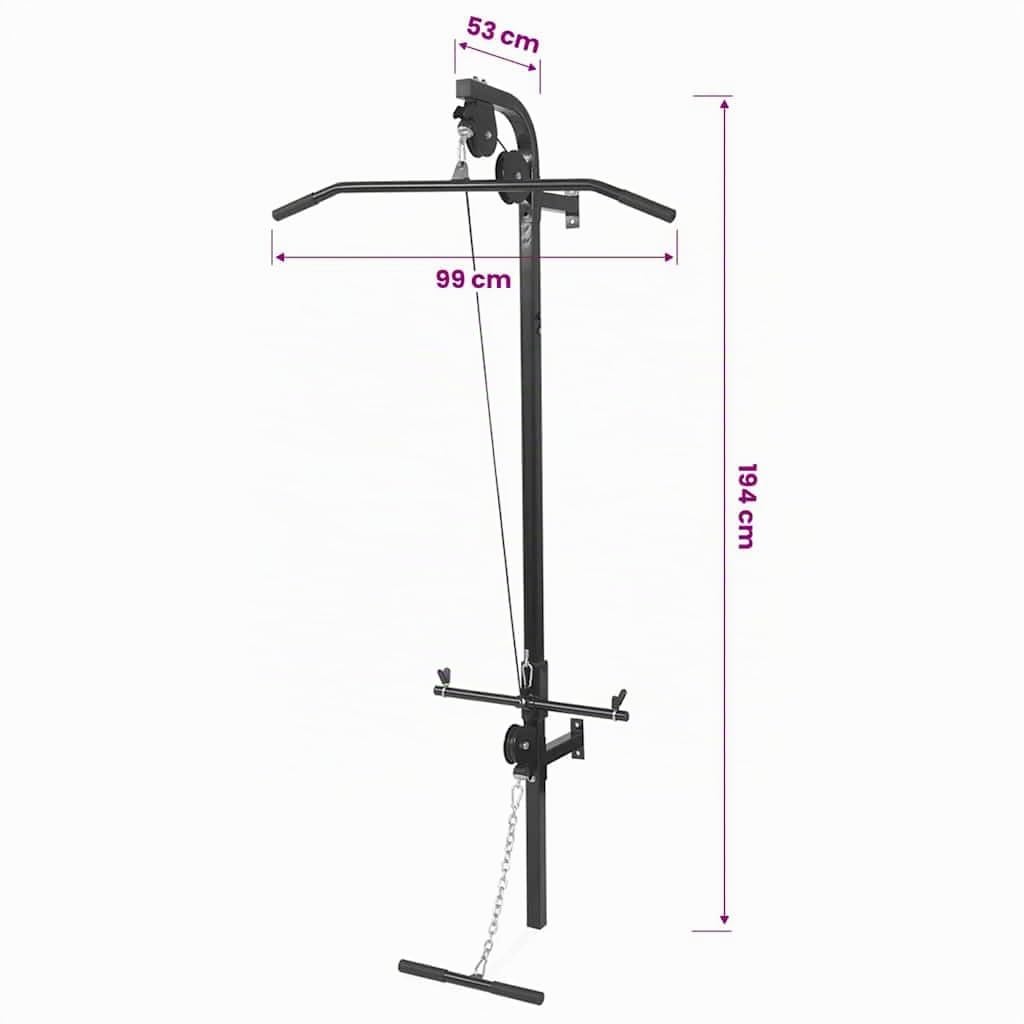 vidaXL Gym à Fixer au Mur, 2 Poulies, Tirage Vertical et Bas, Structure en Acier Robuste, 99x53x194 cm, Poignées Soft-Grip, Supporte 120 kg de Disques, Compatible Disques 25 mm