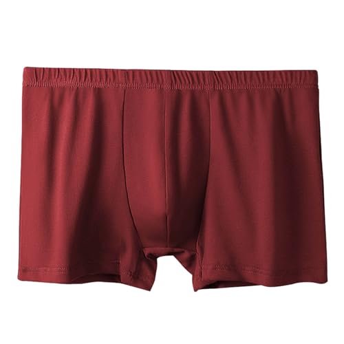 Genérico Tanga Hombre, Bañador Hombre Boxer Ropa Interior Masculina Transpirable Deportiva Fina para CóModo VersáTil Color Liso Transpirable Suave Y EláStico