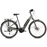 Airtracks 28 Zoll E-Bike Damen Trekking Fahrrad Lumina GX3 LS Bosch Active Plus LINE 500 Wh 9 Gang Shimano ALIVIO RD-M3100 - Rahmen 45cm 50cm 55cm - Mod 2025 (45cm (Körpergröße 160-175cm))