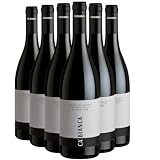 Barbera d'Asti Superiore tinto 2023 - Ca'Bianca - DOCG - Piemonte - Italia - Variedades de uva Barbera - 12x75cl