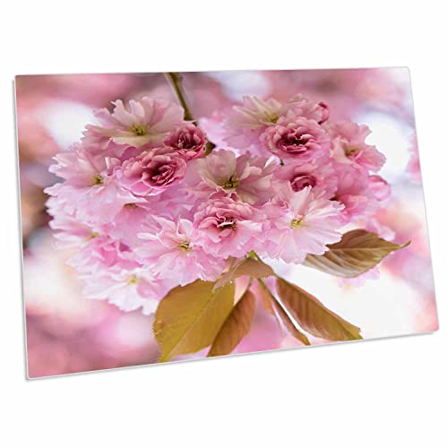 3dRose Desk Pad con flores de cerezo rosa