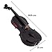 Full Size 4/4 Acoustic Violin Set,Beginner Violin Vintage Solid Wood Violin Starter Kit with Carrying Case,Bow and Rosin (Black)