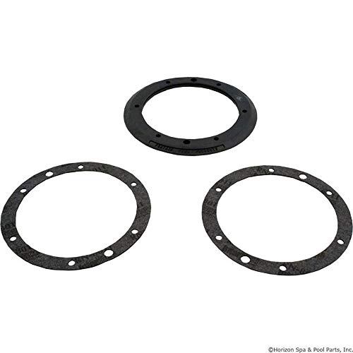 Pentair 79207900 Gasket Set with Double Wall Replacement Small Stainless Steel Niches