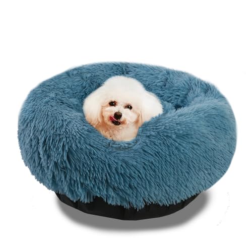 Insvog  xbh L xbh g ybgxbh 􂦂ybgNbV ӂӂ ybg}bg ی^ ybg\t@xbh ʔN L 咆^p ybgnEX (DF)