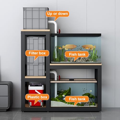 View 4