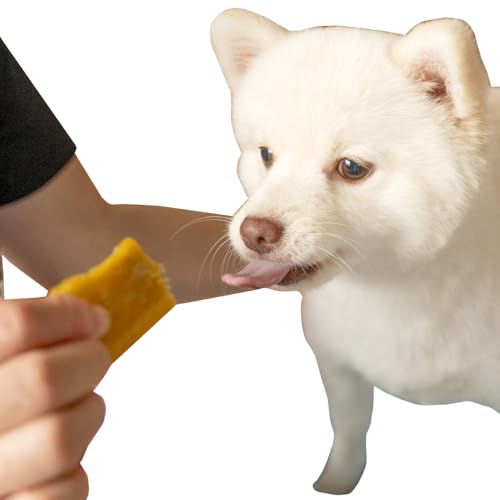 ˓cX p  Iׂ郉Ne V^ 󂠂i hbNt[h ybgt[h  Y Y ܂   aَq  C H꒼ (󂠂i100g×4)