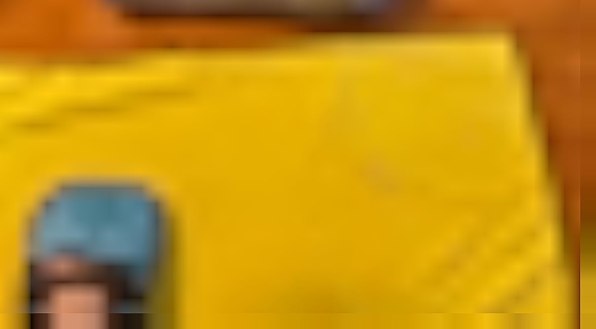 Upgraded Pet Hair Removal Glove for Dogs & Cats, Reusable 5-Finger Electrostatic Magic Brush, Pet Hair Remover Tool for Laundry,Couch,Bed, Carpet,Car Seat,1PCS-9yjuVIXB