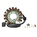 Generator Stator For Triumph Daytona 675/675 SE/Street Triple 675/675 R 2006 2007 2008 2009 2010 2011 2012 2013 2014 2015 2016 2017 OEM Repl.# T1300039