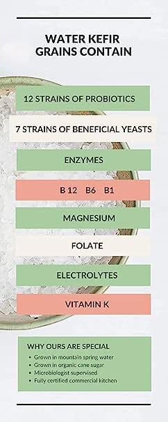 Miniatura 5 de Granos de kéfir de agua deshidratada de uso ilimitado de Happy Gut Pro. Cultivados en azúcares orgánicos especiales y agua de manantial natural,